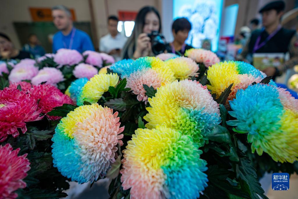 大润发会员网上可以办吗